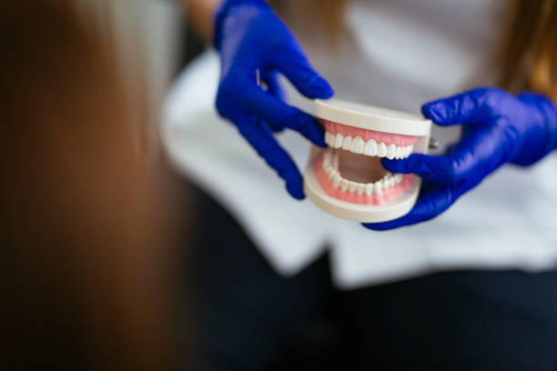  Newellton, LA Dental Services Pros